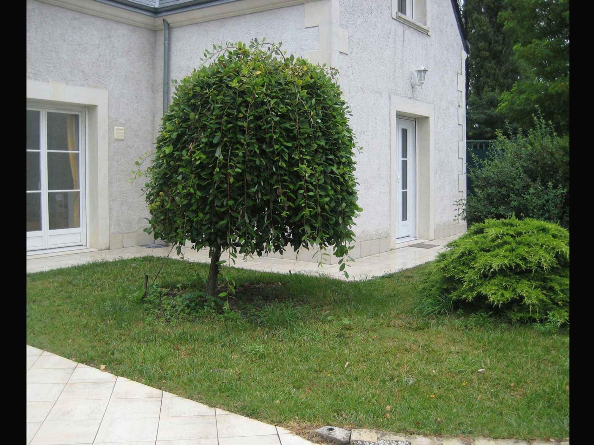 Apartament Les Agapanthes La Riche Zewnętrze zdjęcie